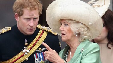 Έκπληκτη η Καμίλα από τα σχόλια του πρίγκιπα Χάρι