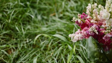 Θεσσαλονίκη: Μαχαίρωσε τον γείτονά του επειδή του ζερίζωσε τα λουλούδια!