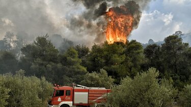 Σε εξέλιξη πυρκαγιά σε δασική έκταση στη Βοιωτία