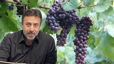 Ν.Δουλουφάκης: Τα κρητικά κρασιά έχουν κάνει άλματα τα τελευταία χρόνια! 