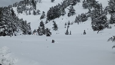 Η νέα μεγάλη έλλειψη στον κόσμο: Το χιόνι