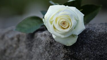 Για την Χρυσάνθη Ηγουμενίδου