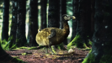 Εταιρεία γενετικής σκοπεύει να επαναφέρει στη ζωή τα ντόντο