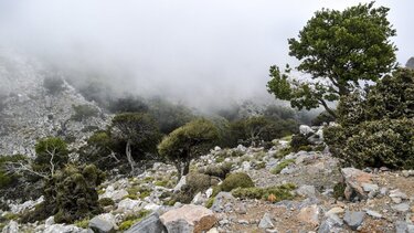 Δίκτη: Στα Απάτητα Βουνά εντάσσεται το όρος όπου γεννήθηκε ο Δίας