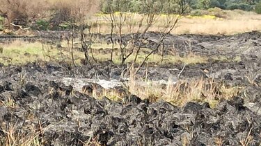Μια σύλληψη για την μεγάλη φωτιά στη Βιάννο 
