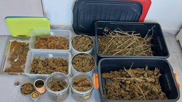 Έφοδος σε σπίτι "έβγαλε" ένα κιλό κάνναβης