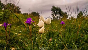  Εκεί που οι λέξεις είναι φτωχές...