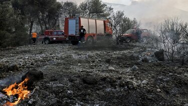 Προσοχή στις ελεγχόμενες καύσεις: Σοβαρός ο κίνδυνος πυρκαγιάς!