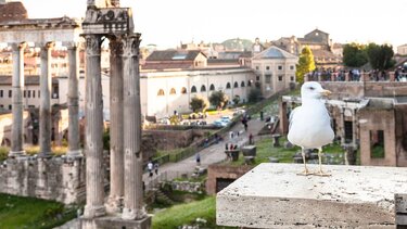 Ιταλία: Μόνο για τα απολύτως απαραίτητα φτάνει το εισόδημα των περισσότερων νοικοκυριών