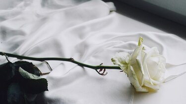 Συλλυπητήριο μήνυμα της ΕΛΜΕ Λασιθίου για το δυστύχημα στα Τέμπη