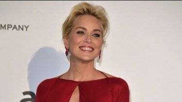 Σάρον Στόουν: Το επικό "F@@ you" στους νεαρούς που δεν την αναγνώρισαν και την κατηγόρησαν ότι τους έκλεψε τη θέση