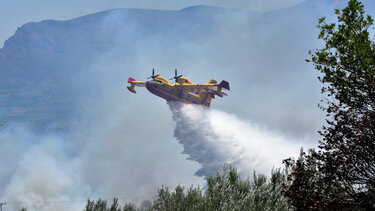 Απαισιόδοξα τα σενάρια για τη φετινή αντιπυρική περίοδο
