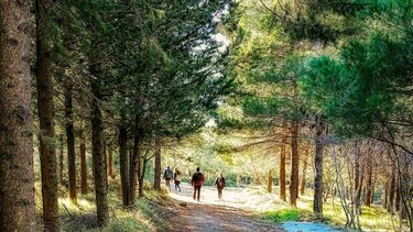 Εκδρομή του Συλλόγου Αλατσατιανών στην Ιερά Μονή Κρεμαστών