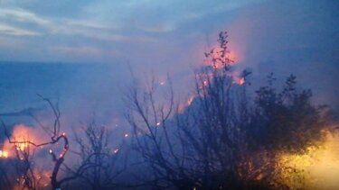 Τελευταία μέρα για το κάψιμο κλαδιών- Έρχονται βαριά πρόστιμα από αύριο