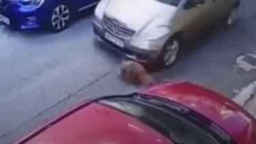 Συντετριμμένη, η 63χρονη που χτύπησε σκύλο με το αυτοκίνητό της, οδηγείται στον εισαγγελέα