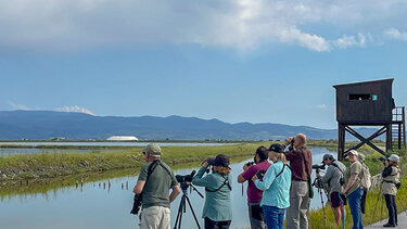 Η Λέσβος, κορυφαίος προορισμός παρατήρησης πουλιών