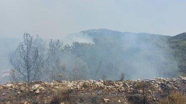 Υπο έλεγχο τέθηκε η φωτιά σε δασική έκταση στην Ρόδο