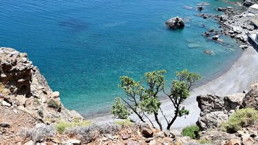 Μαγική πεζοπορία μέσα στο δάσος με τους ενδημικούς φοίνικες της Κρήτης