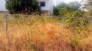 Περί ακαθάριστων οικοπέδων ο λόγος...