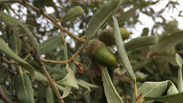 Κυκλική πεζοπορία στα όρια των νομών Ηρακλείου και Λασιθίου την Κυριακή