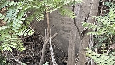 Θα επιβληθούν πρόστιμα για τα ακαθάριστα οικόπεδα και στις ιδιοκτησίες του δημοσίου;