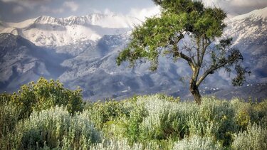 Εξόρμηση του Πανεπιστημίου των Ορέων στο Σίβα, Δήμου Φαιστού