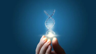 Τι είναι αυτό που μας κάνει ανθρώπους; 