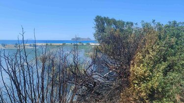 Πρόλαβαν την φωτιά στα Φαλάσαρνα