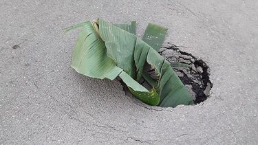 Μπουκάλια, φύλλα δέντρων και κλαδιά για να ... καλυφθούν οι λακκούβες στο Ηράκλειο!