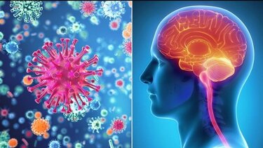 Ύποπτος μύκητας προκαλεί μηνιγγίτιδα στις ΗΠΑ και το Μεξικό