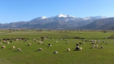 Σε όλους τους ψηφιακούς χάρτες της Google είναι πλέον ολόκληρο ξανά το “χρυσό δαχτυλίδι” του οδικού δικτύου του Οροπεδίου Λασιθίου