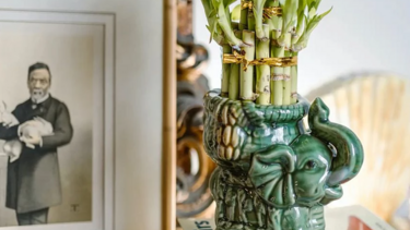 Πώς θα φέρεις πλούτο στο σπίτι σου σύμφωνα με το φενγκ σούι