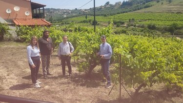 Αυτοψία στις περιοχές όπου καταγράφηκαν ζημιές από τα υψηλά ποσοστά βροχόπτωσης