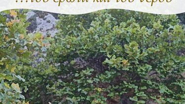 "...Του έρωτα και του νερού"