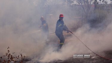  Πυρκαγιά σε αγρόκτημα στην Άρια Ναυπλίου 