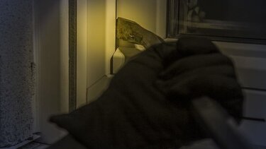 Έκανε τον... σταυρό του και ξεκίνησε την απολογία του ο 13χρονος!