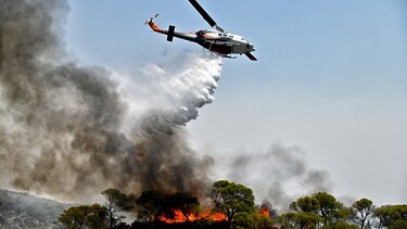 Πυρόπληκτες επιχειρήσεις: Ανοίγει η πλατφόρμα για τις αιτήσεις του επιδόματος των 534 ευρώ
