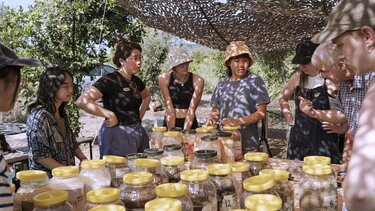 Μία δημιουργική ματιά στον υλικό πολιτισμό, στον Δήμο Πλατανιά