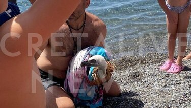 Έκαναν μπάνιο μαζί με έναν γύπα! Λουόμενοι του προσέφεραν βοήθεια!