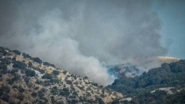 Φωτιά και στην Κύμη Εύβοιας