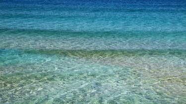 Τρίχρονο αγοράκι κινδύνεψε να πνιγεί στη θάλασσα - Το έσωσαν με ΚΑΡΠΑ