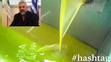 "Μόλις 30.000 τόνοι το φετινό ελαιόλαδο! - Να γίνει βιολογικό νησί η Κρήτη"