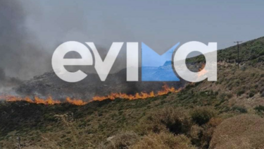 Εύβοια: Φωτιά σε δασική έκταση στον Πλατανιστό Καρύστου -Τρία τα μέτωπα