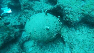 Νάρκη βρέθηκε στη θάλασσα της Αγίας Πελαγίας 