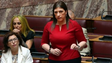 Η Πλεύση Ελευθερίας θα ψηφίσει θετικά στην διάταξη για την ψήφο των Ελλήνων του Εξωτερικού