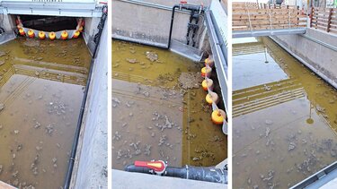 Δυσοσμία γύρω από το ανοιχτό κανάλι στην Αγία Πελαγία - Τι λέει ο Δήμος