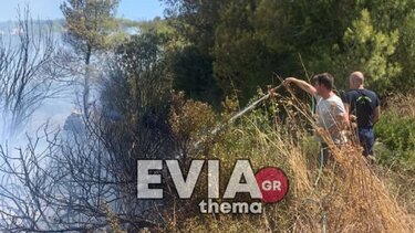 Νέα πυρκαγιά στην Εύβοια: Κινητοποιήθηκαν ισχυρές δυνάμεις της Πυροσβεστικής
