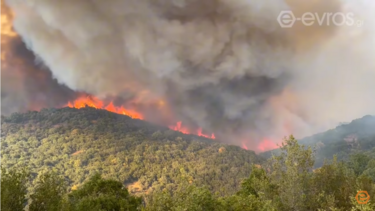 Φωτιές: Ολονύχτια μάχη με τις φλόγες σε Έβρο και Ροδόπη