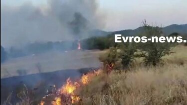 Φωτιά στην περιοχή Μελία στην Αλεξανδρούπολη