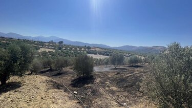 Φωτιά σε γεωργικές εκτάσεις στη Γαρίπα